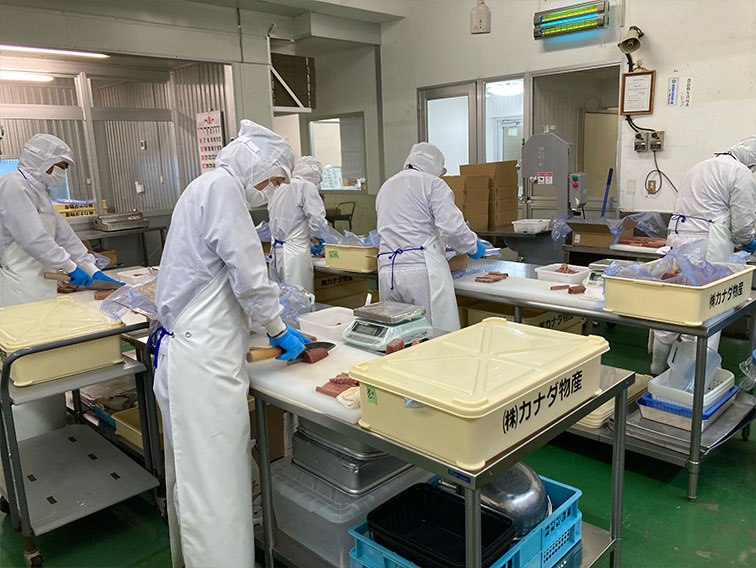 充実の研修で、安心・安全を確保